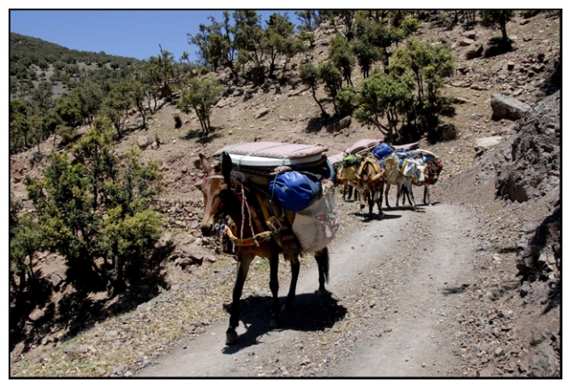 toubkal 68 kim.jpg